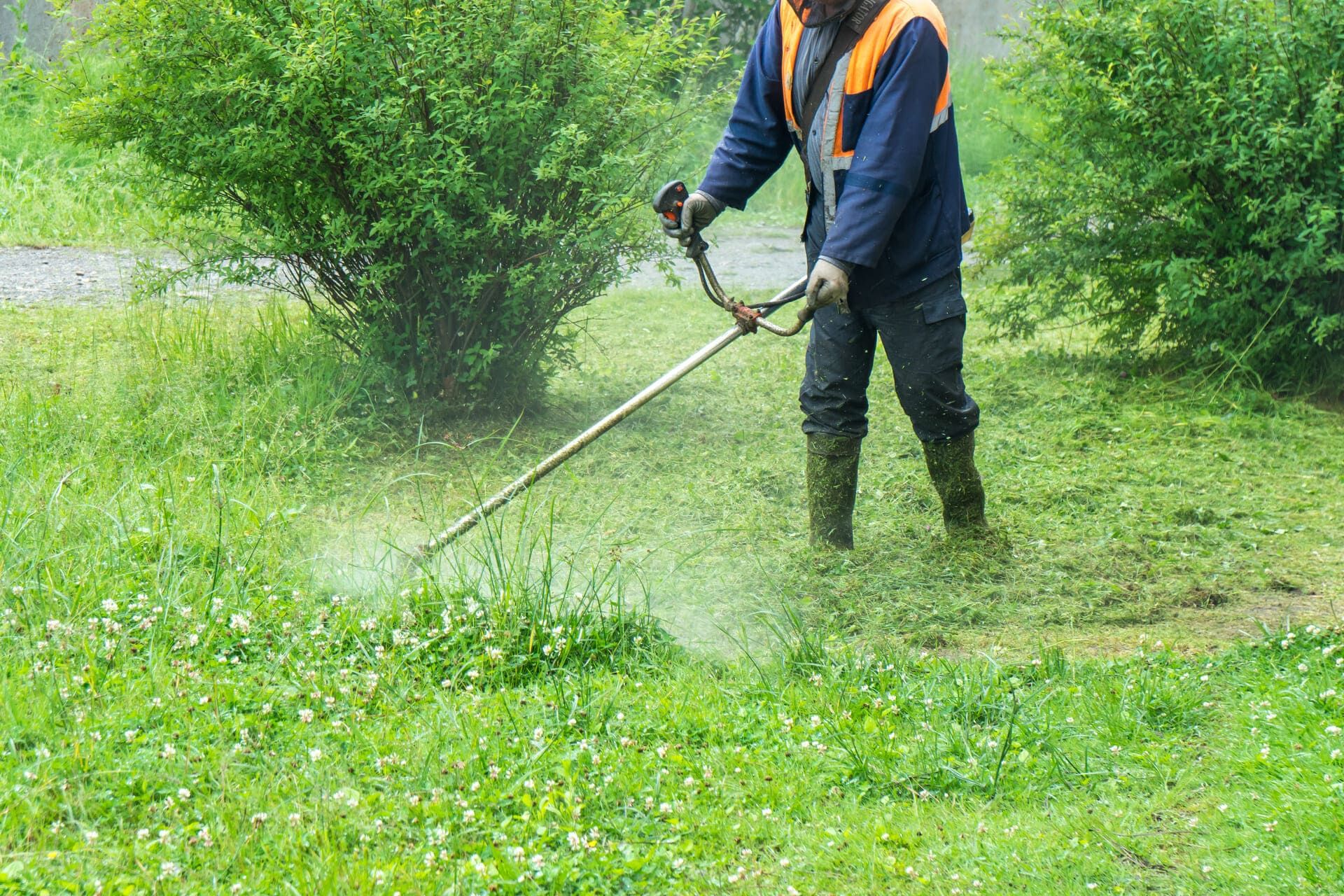 快適な環境を保つための除草作業
