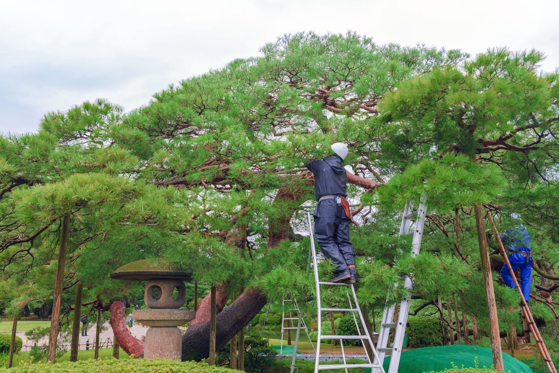 本庄市 造園